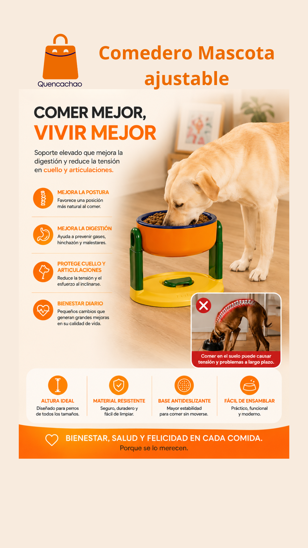 Comedero Elevado Ajustable para Perros | Comodidad y Bienestar en cada Comida